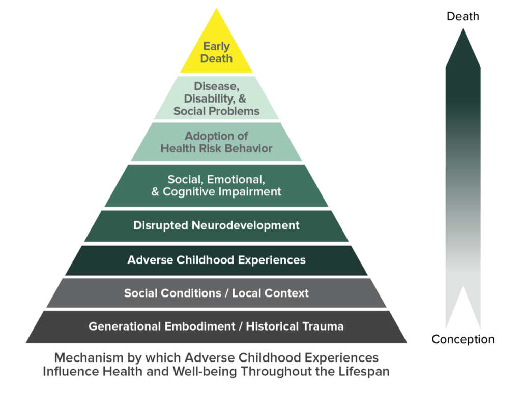 adverse-childhood-experiences-national-human-trafficking-training-and